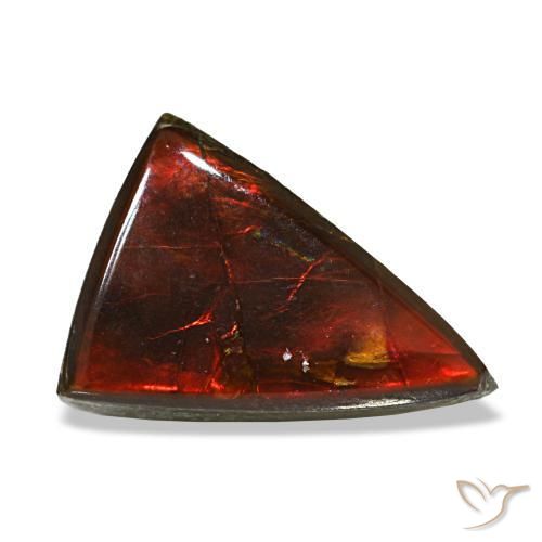 Ammolite multicolore naturelle trillion, 3,12 ct, transparent