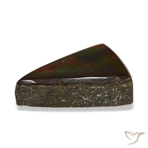 Ammolite multicolore naturelle trillion, 3,12 ct, transparent
