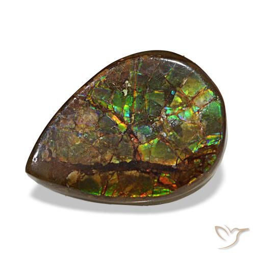 Ammolite multicolore naturelle en forme de poire, 6,06 ct, opaque