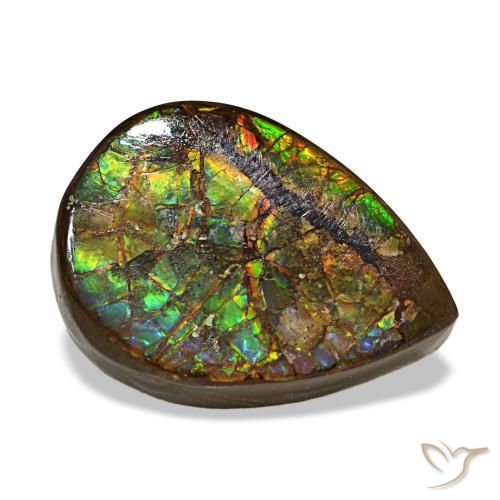 Ammolite multicolore naturelle en forme de poire, 6,06 ct, opaque