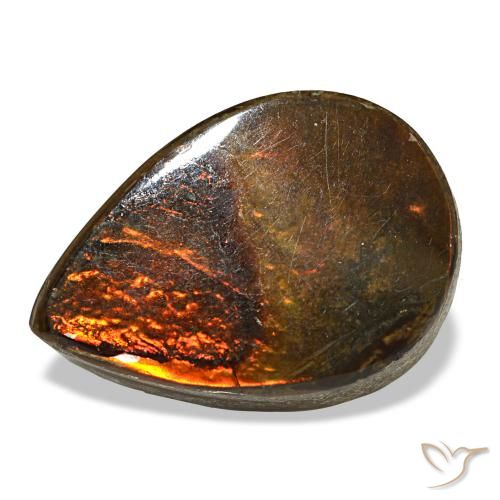 Ammolite multicolore de 5,02 ct, en forme de poire, opaque