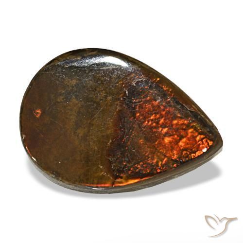 Ammolite multicolore naturelle en forme de poire, 5,02 ct, opaque