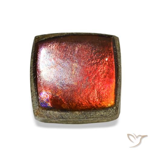 Ammolite multicolore naturelle carré, 1,45 ct, opaque
