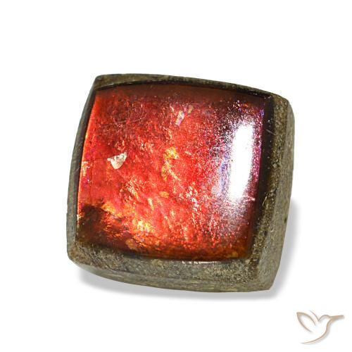 Ammolite multicolore naturelle carré, 1,45 ct, opaque