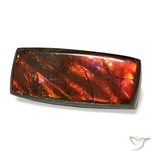 Ammolite multicolore naturelle baguette, 3,83 ct, opaque