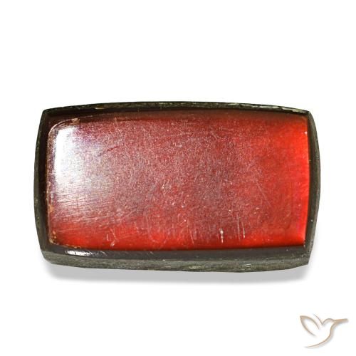 Ammolite multicolore de 3,44 ct, baguette, opaque