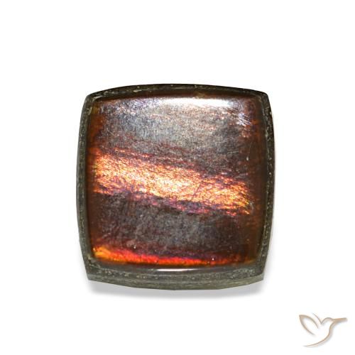 Ammolite multicolore naturelle carré, 1,52 ct, opaque