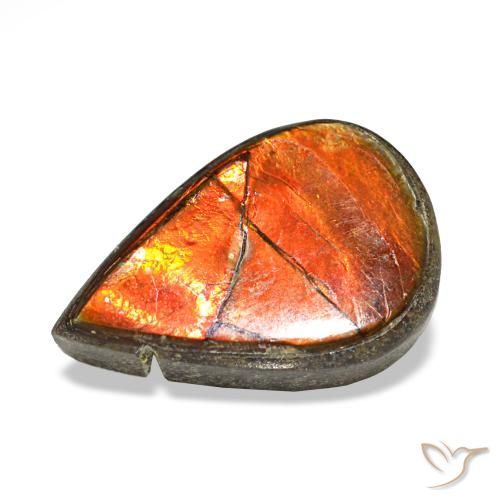 Ammolite multicolore de 1,81 ct, en forme de poire, opaque