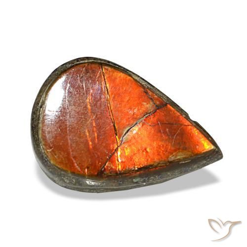 Ammolite multicolore naturelle en forme de poire, 1,81 ct, opaque