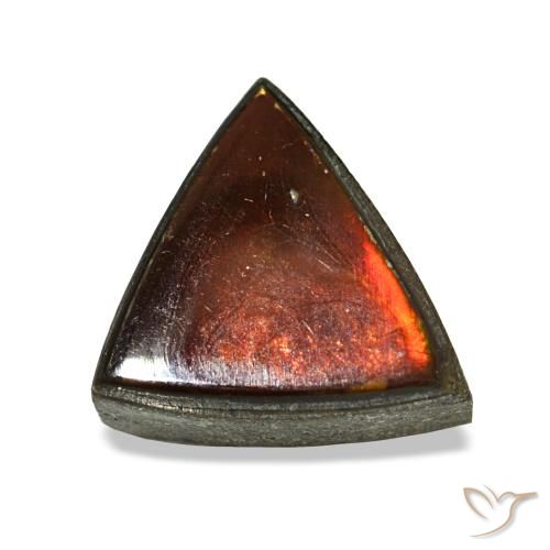 Ammolite multicolore naturelle trillion, 1,53 ct, opaque