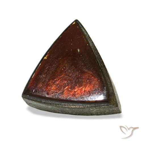 Ammolite multicolore naturelle trillion, 1,53 ct, opaque