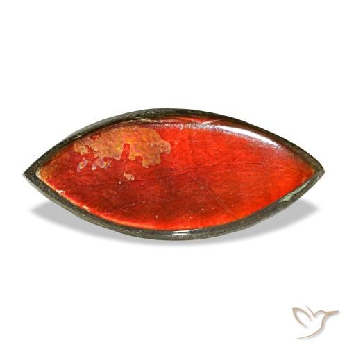 Ammolite multicolore naturelle marquise, 2,22 ct, opaque