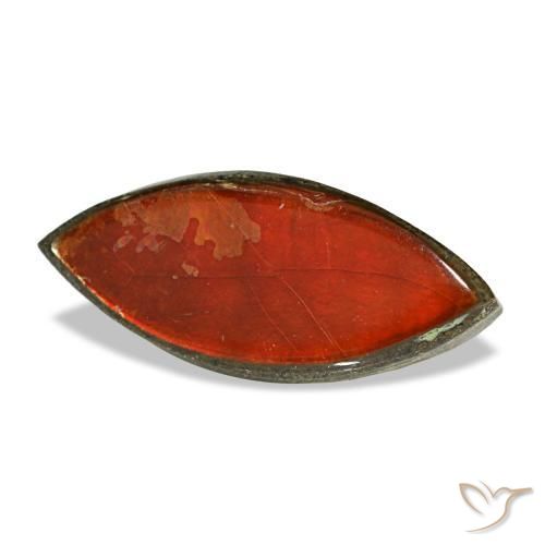 Ammolite multicolore naturelle marquise, 2,22 ct, opaque