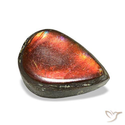 Ammolite multicolore naturelle en forme de poire, 1,23 ct, opaque