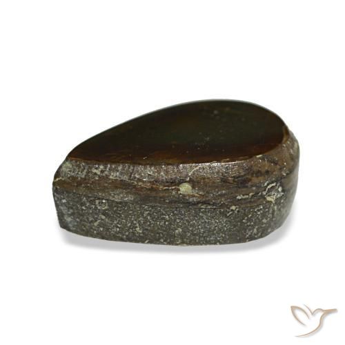 Ammolite multicolore naturelle en forme de poire, 1,23 ct, opaque