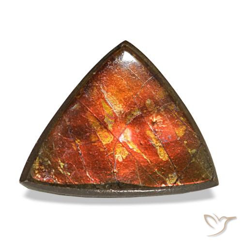 Ammolite multicolore de 3,33 ct, trillion, opaque