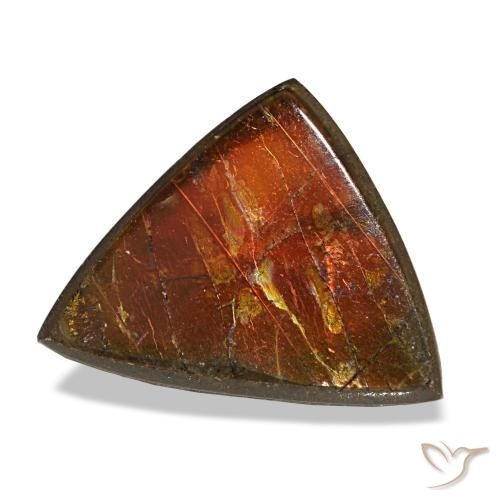 Ammolite multicolore naturelle trillion, 3,33 ct, opaque