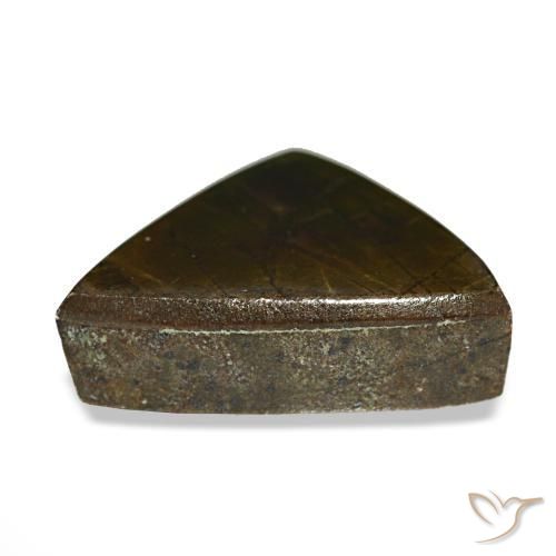 Ammolite multicolore naturelle trillion, 3,33 ct, opaque