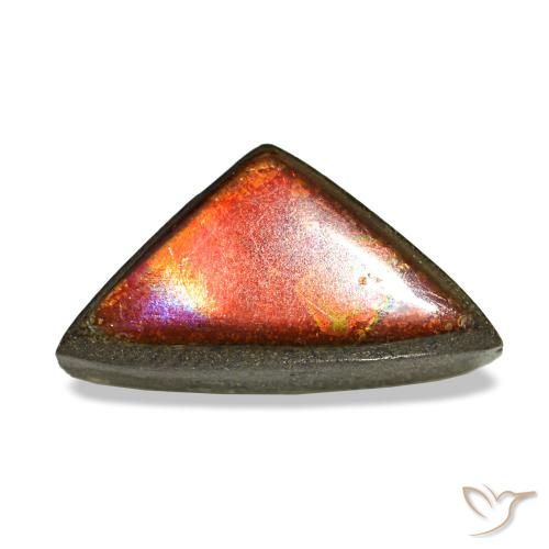 Ammolite multicolore naturelle trillion, 1,47 ct, opaque