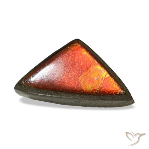 Ammolite multicolore naturelle trillion, 1,47 ct, opaque