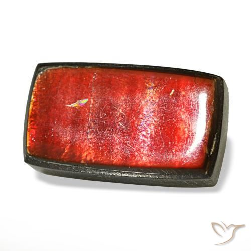 Ammolite multicolore naturelle baguette, 3,78 ct, opaque