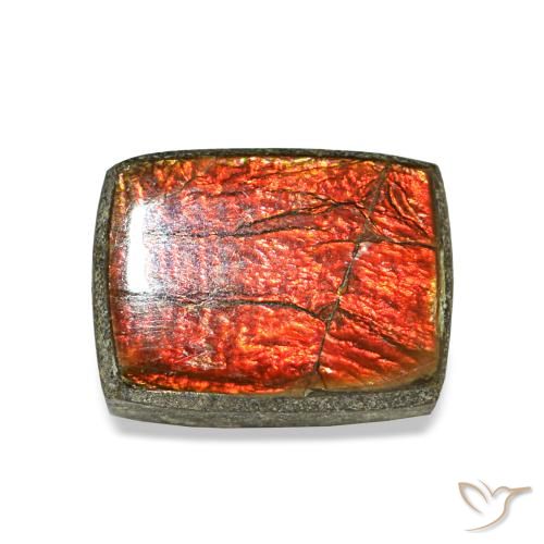 Ammolite multicolore naturelle baguette, 1,23 ct, opaque