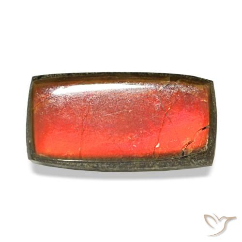 Ammolite multicolore de 1,51 ct, baguette, opaque