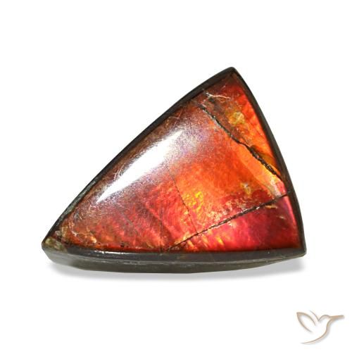 Ammolite multicolore de 1,64 ct, trillion, opaque