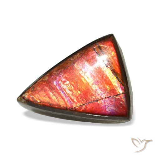 Ammolite multicolore naturelle trillion, 1,64 ct, opaque