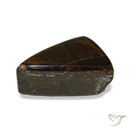 Ammolite multicolore naturelle trillion, 1,64 ct, opaque
