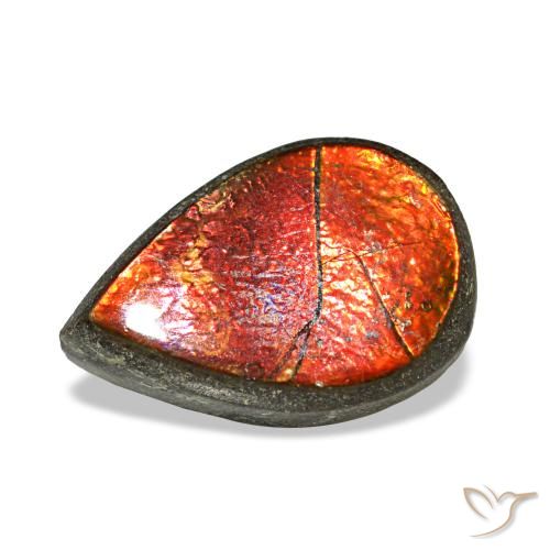 Ammolite multicolore naturelle en forme de poire, 1,42 ct, opaque