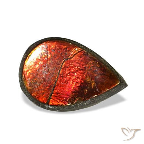 Ammolite multicolore naturelle en forme de poire, 1,42 ct, opaque