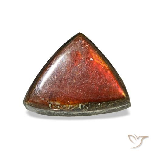 Ammolite multicolore naturelle trillion, 1,17 ct, opaque