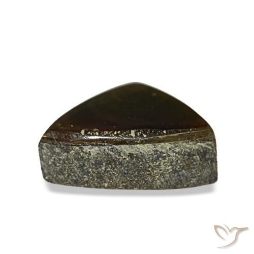 Ammolite multicolore naturelle trillion, 1,17 ct, opaque