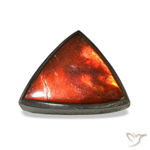 Ammolite multicolore naturelle trillion, 1,77 ct, opaque