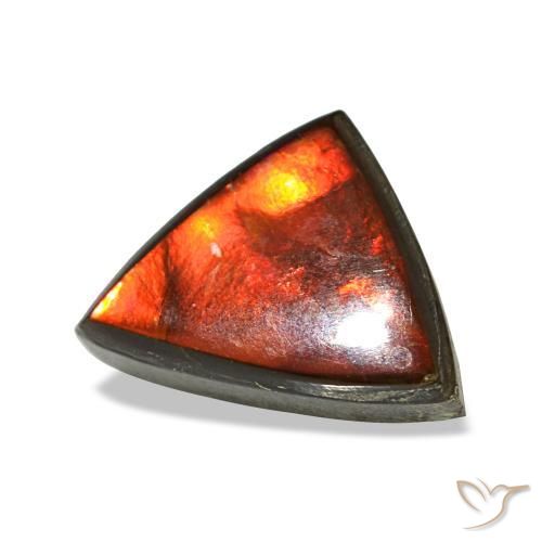Ammolite multicolore naturelle trillion, 1,77 ct, opaque