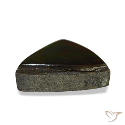 Ammolite multicolore naturelle trillion, 1,77 ct, opaque