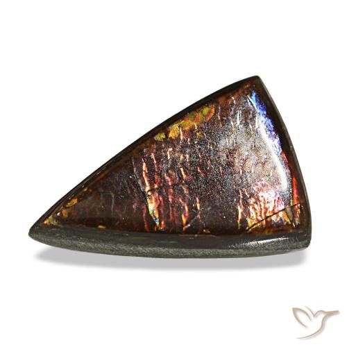 Ammolite multicolore naturelle trillion, 1,89 ct, opaque