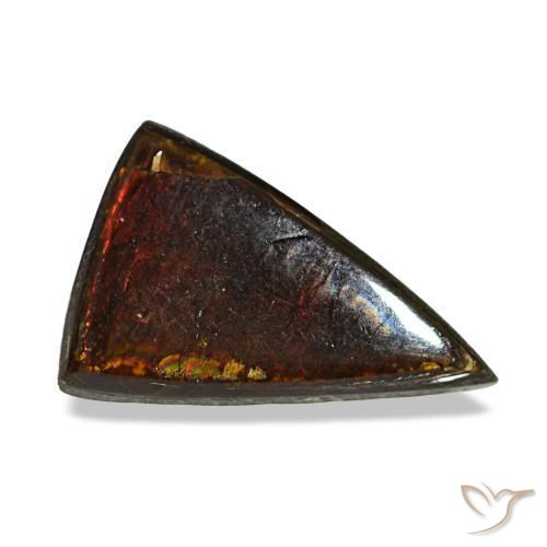 Ammolite multicolore naturelle trillion, 1,89 ct, opaque