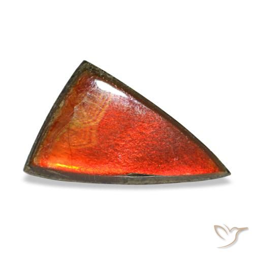 Ammolite multicolore naturelle trillion, 1,11 ct, opaque