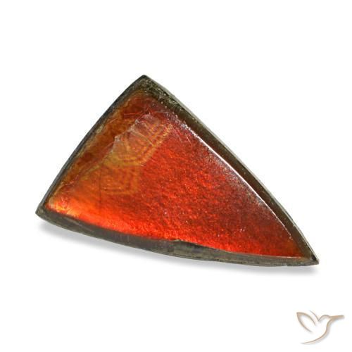 Ammolite multicolore naturelle trillion, 1,11 ct, opaque