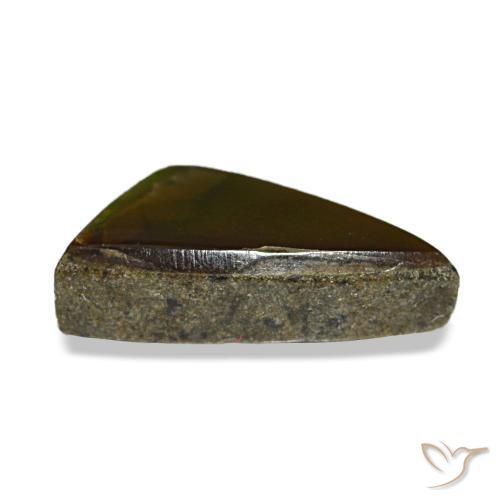 Ammolite multicolore naturelle trillion, 1,11 ct, opaque