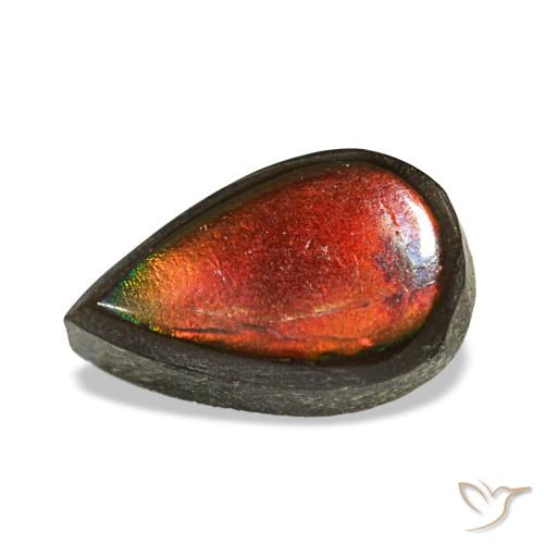 Ammolite multicolore naturelle en forme de poire, 1,48 ct, opaque