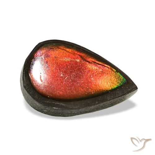 Ammolite multicolore naturelle en forme de poire, 1,48 ct, opaque