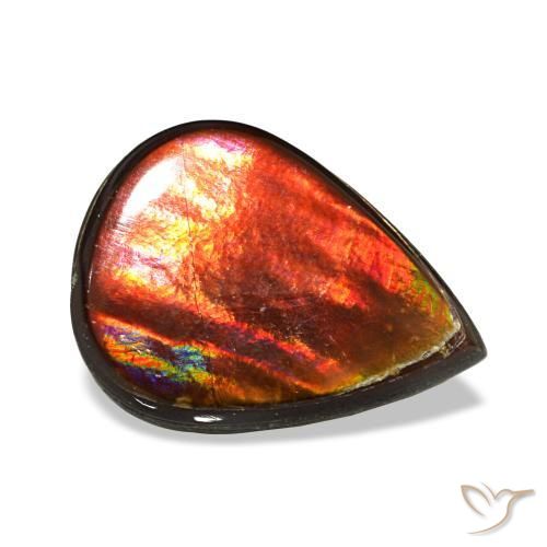 Ammolite multicolore naturelle en forme de poire, 3,35 ct, opaque