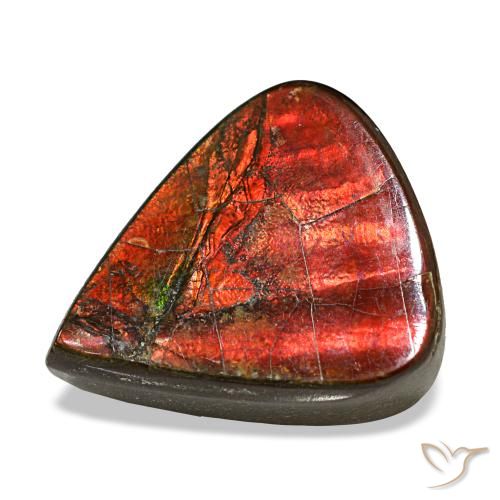 Ammolite multicolore de 8,58 ct, en forme de poire, opaque