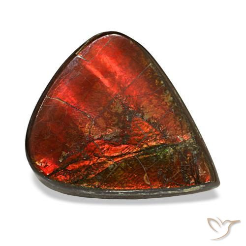 Ammolite multicolore naturelle en forme de poire, 8,58 ct, opaque