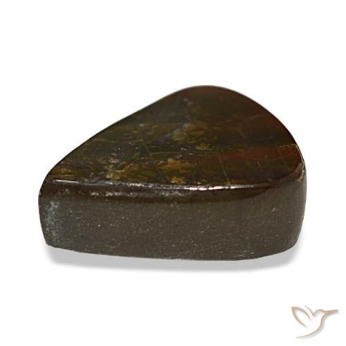 Ammolite multicolore naturelle en forme de poire, 8,58 ct, opaque