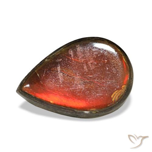 Ammolite multicolore naturelle en forme de poire, 2,36 ct, opaque