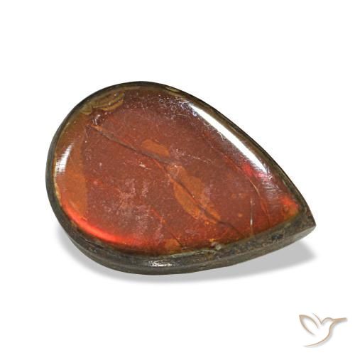 Ammolite multicolore naturelle en forme de poire, 2,36 ct, opaque